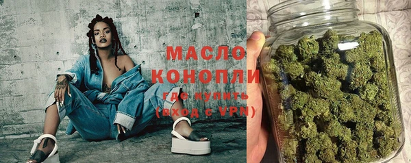 молекула духа Богородицк