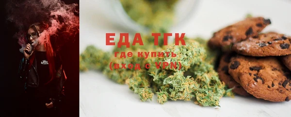молекула духа Богородицк