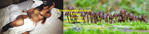 кокс Богданович