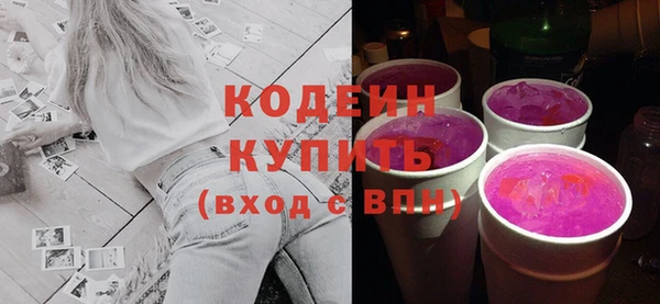 молекула духа Богородицк