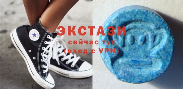 молекула духа Богородицк