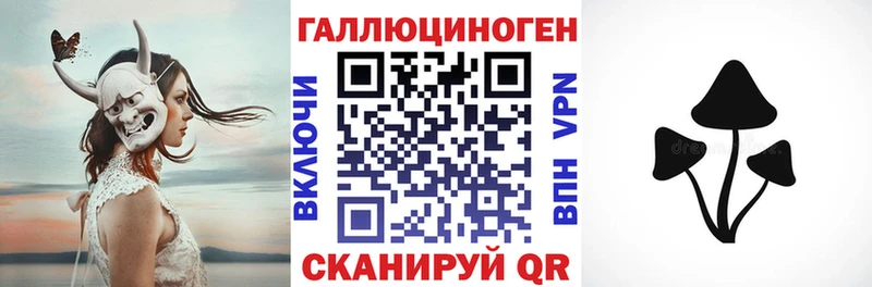 ОМГ ОМГ как зайти Чернушка Псилоцибиновые грибы мухоморы
